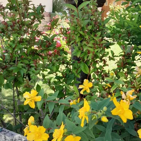 Nyaraló Un Brin De Bonheur Troyes