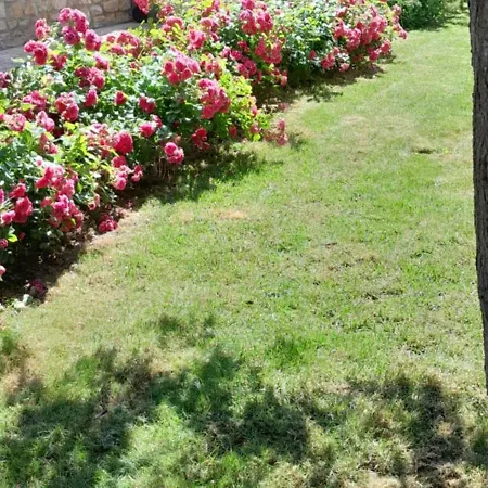 Casa vacanze Un Brin De Bonheur