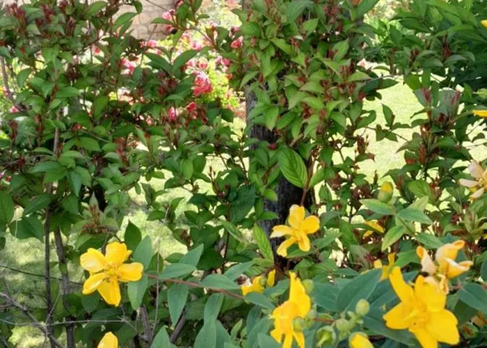 Nyaraló Un Brin De Bonheur Troyes