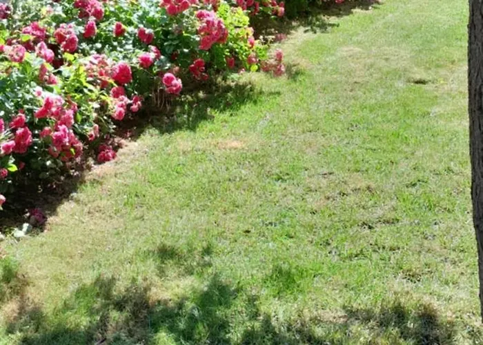 Nyaraló Un Brin De Bonheur